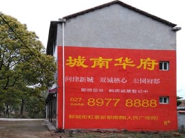 开江百分之90的人都不了解的农村墙体广告