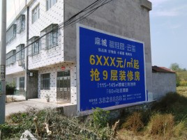 开江墙体广告质量分析