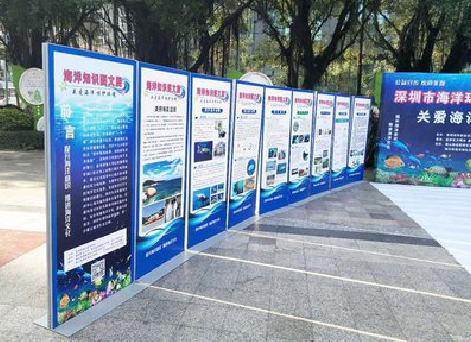 开江KT板的种类和知识。